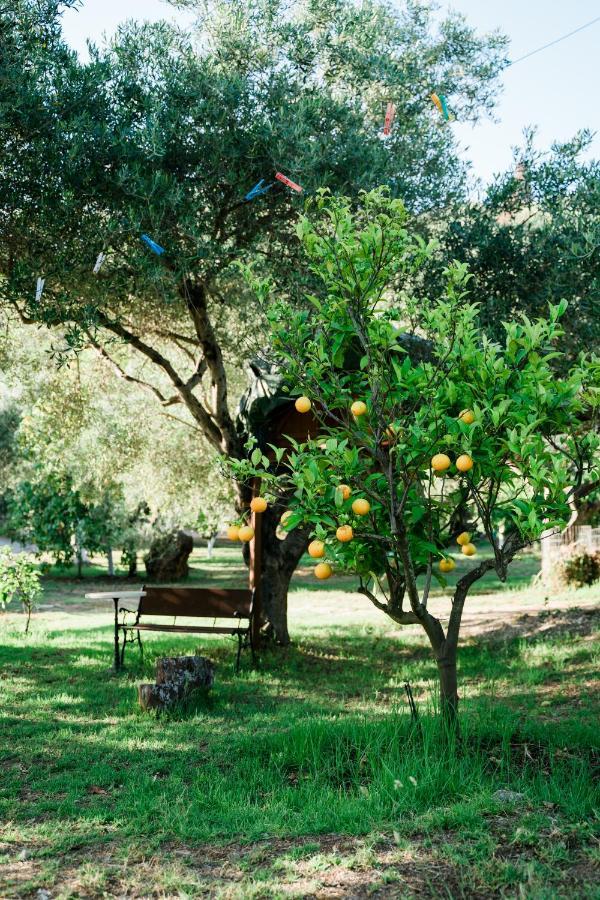 Villa Kallithea Parga Exterior foto